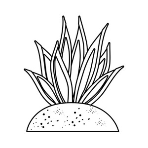 300x300 Succulent Plant Royalty Free Vectors