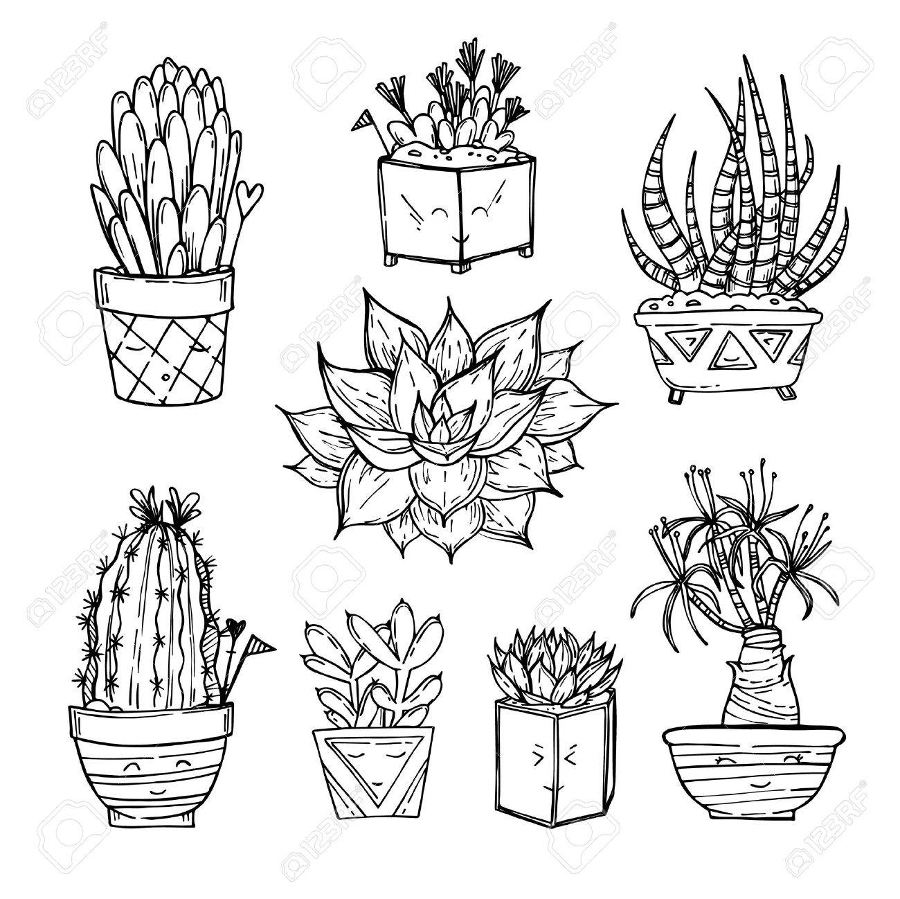 1300x1298 Hand Drawn Illustration