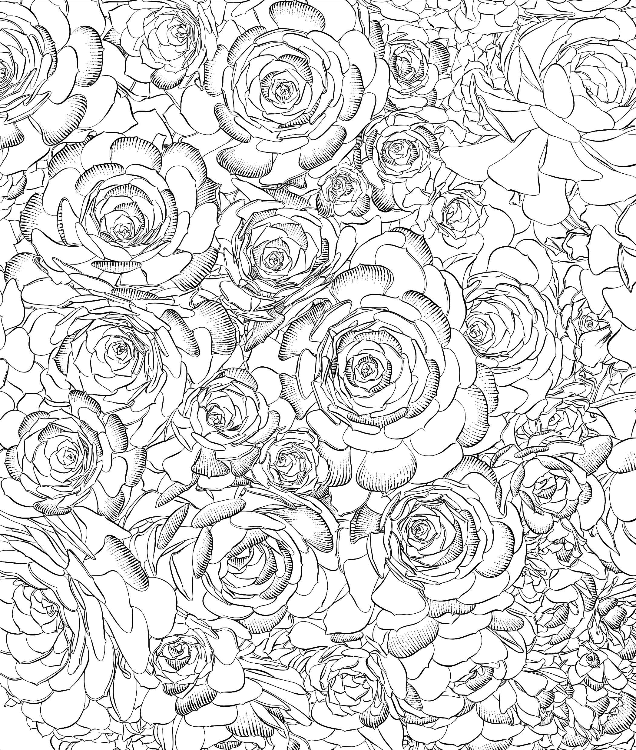 2100x2475 Sensational Succulents