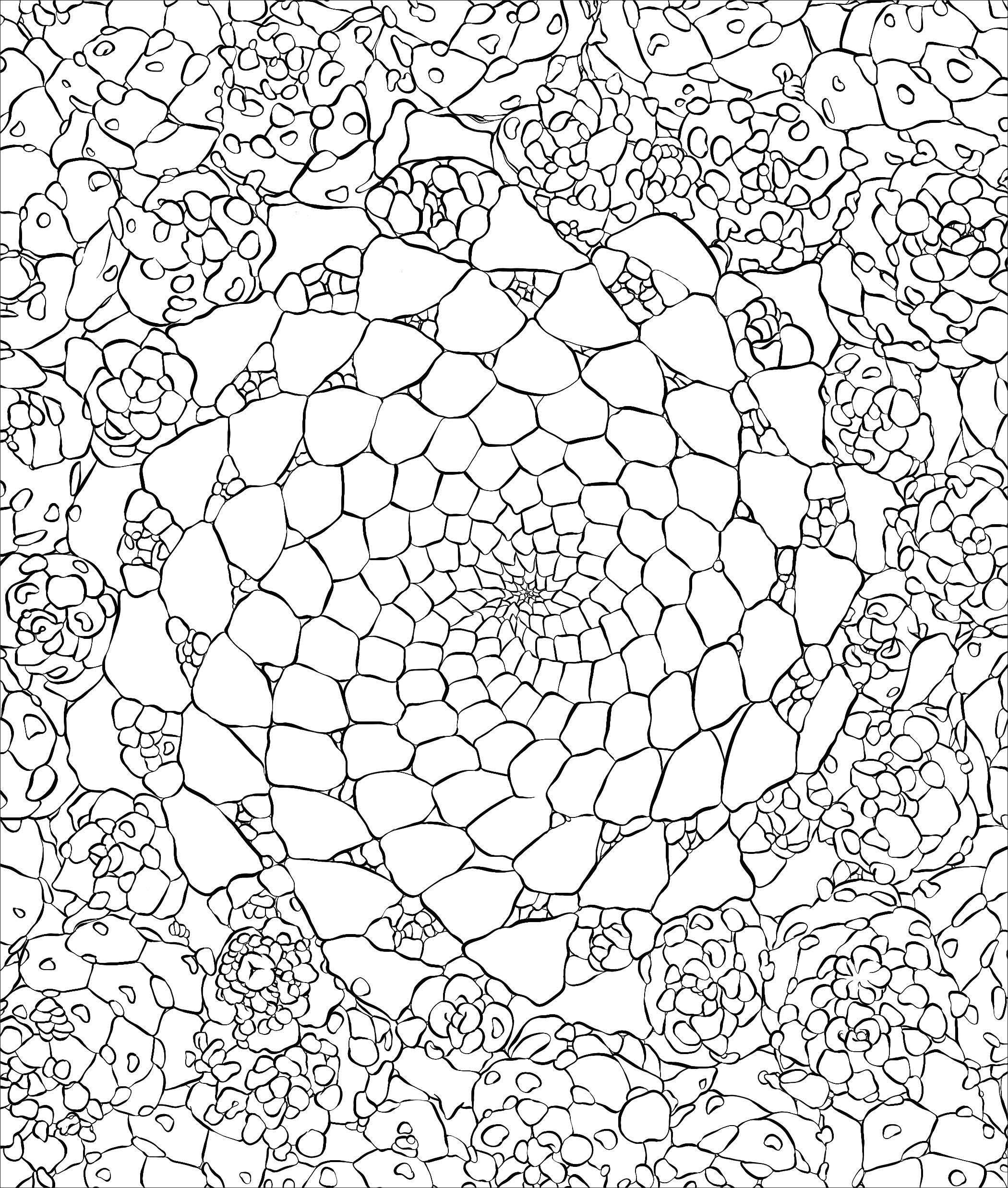 2100x2475 Sensational Succulents An Adult Coloring Book Of Amazing Shapes