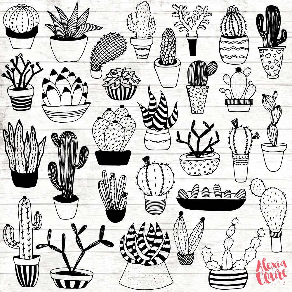 1000x1000 Succulent Clipart