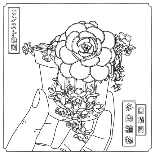 500x500 Succulent Line Art Tumblr
