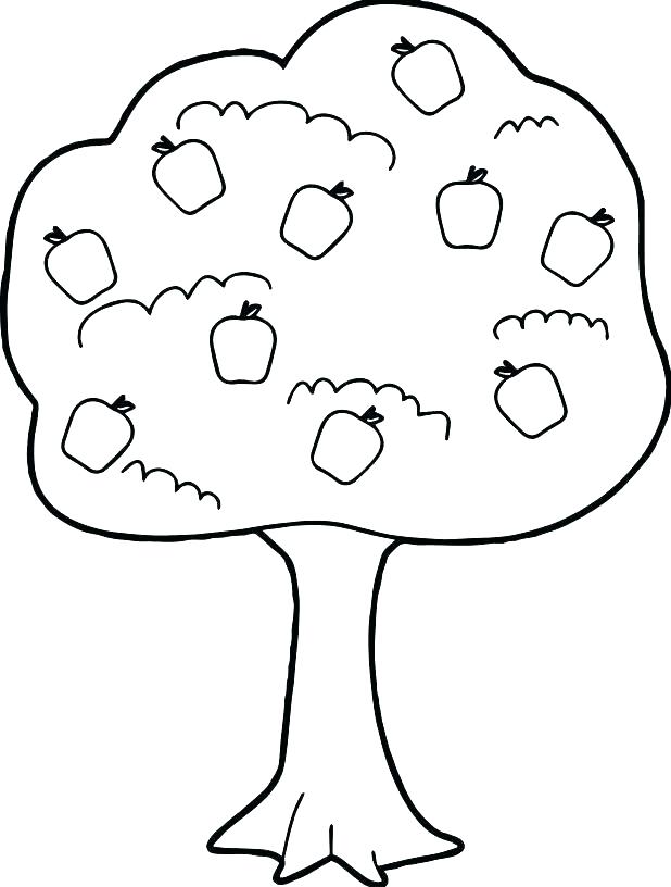 618x816 Maple Coloring Pages Healthcaretips.site