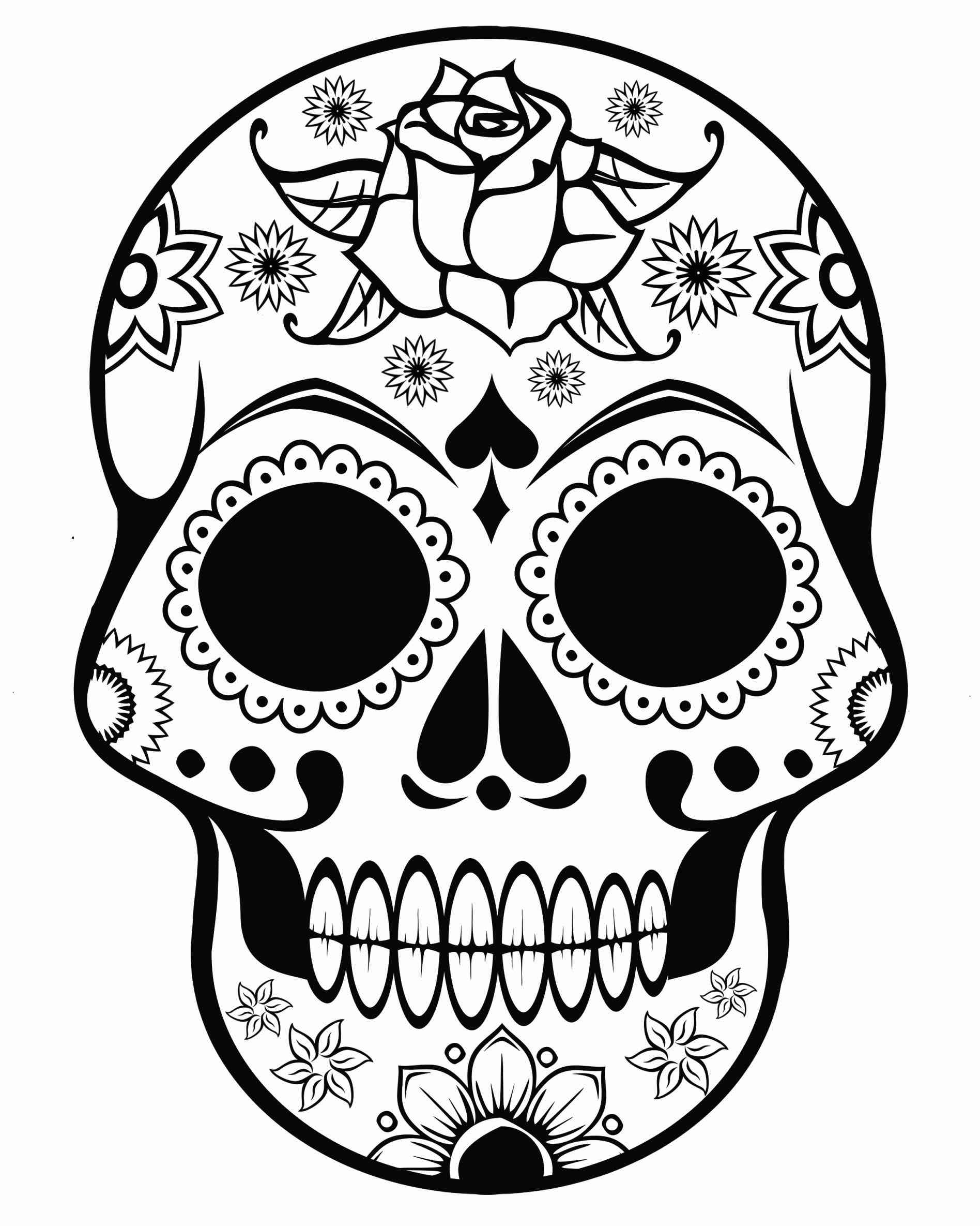 Sugar Skull And Rose Drawing at GetDrawings | Free download