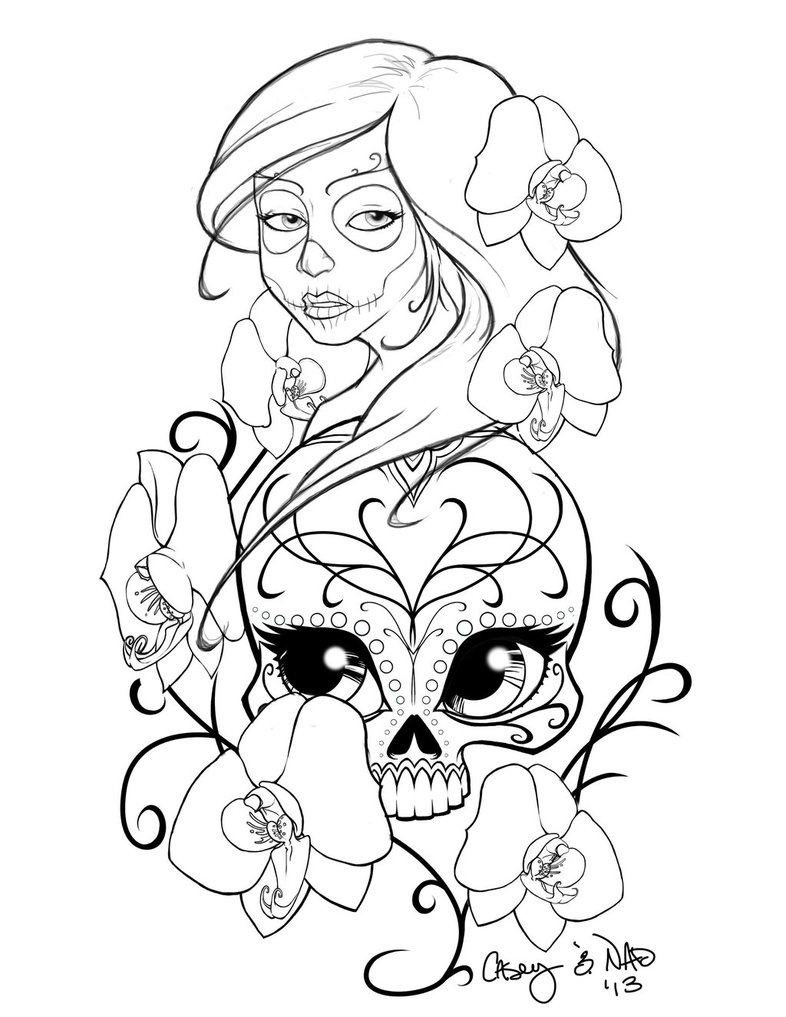 786x1017 Drawing Sketch Archives