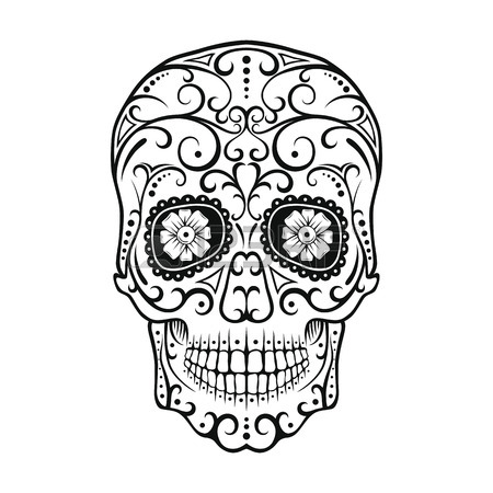 Human Skull Line Drawing at GetDrawings | Free download