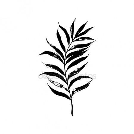 450x450 Sugarcane. Hand Drawn Botanical Illustration Stock Vector