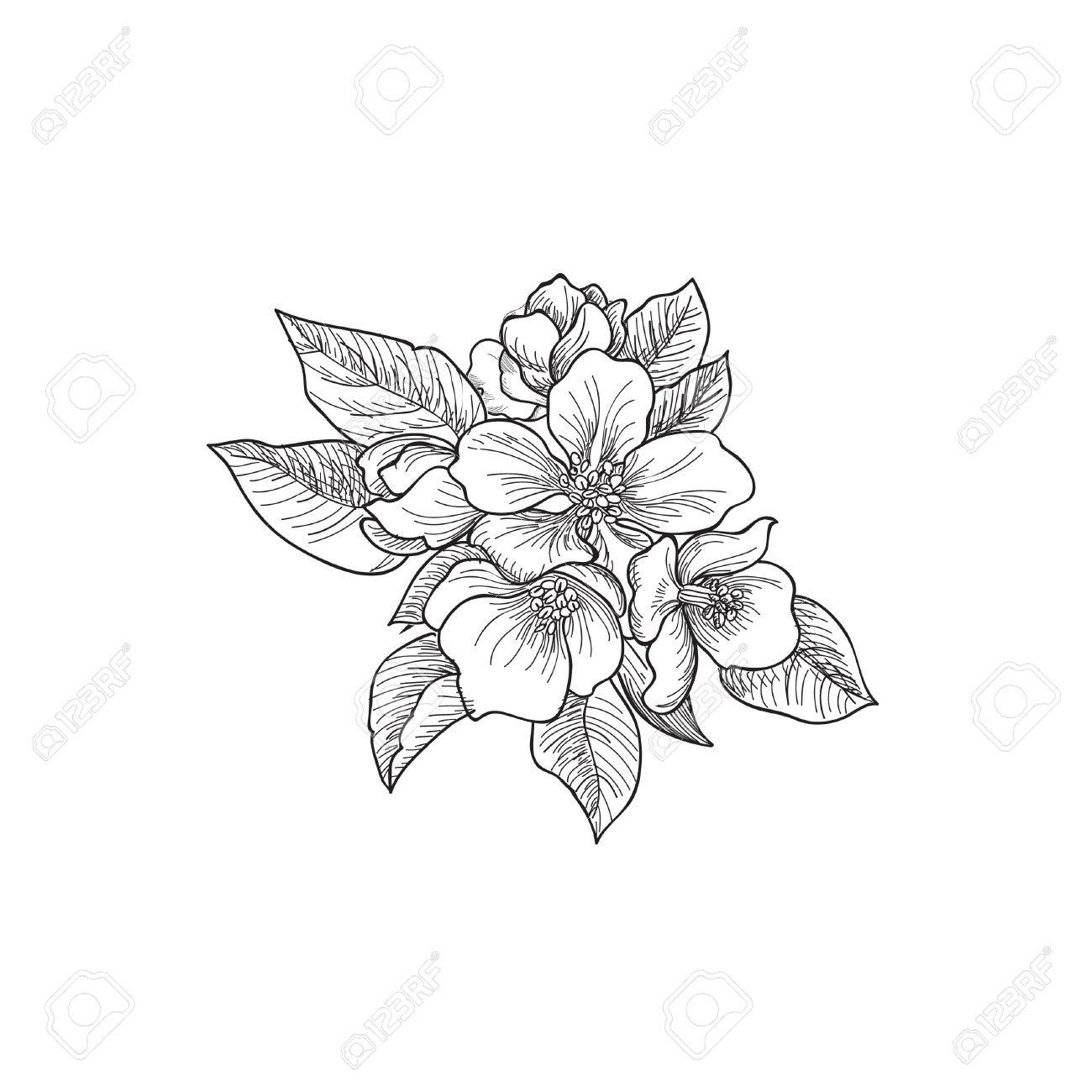 1300x1300 Floral Background. Greeting Card With Flower. Flourish Border