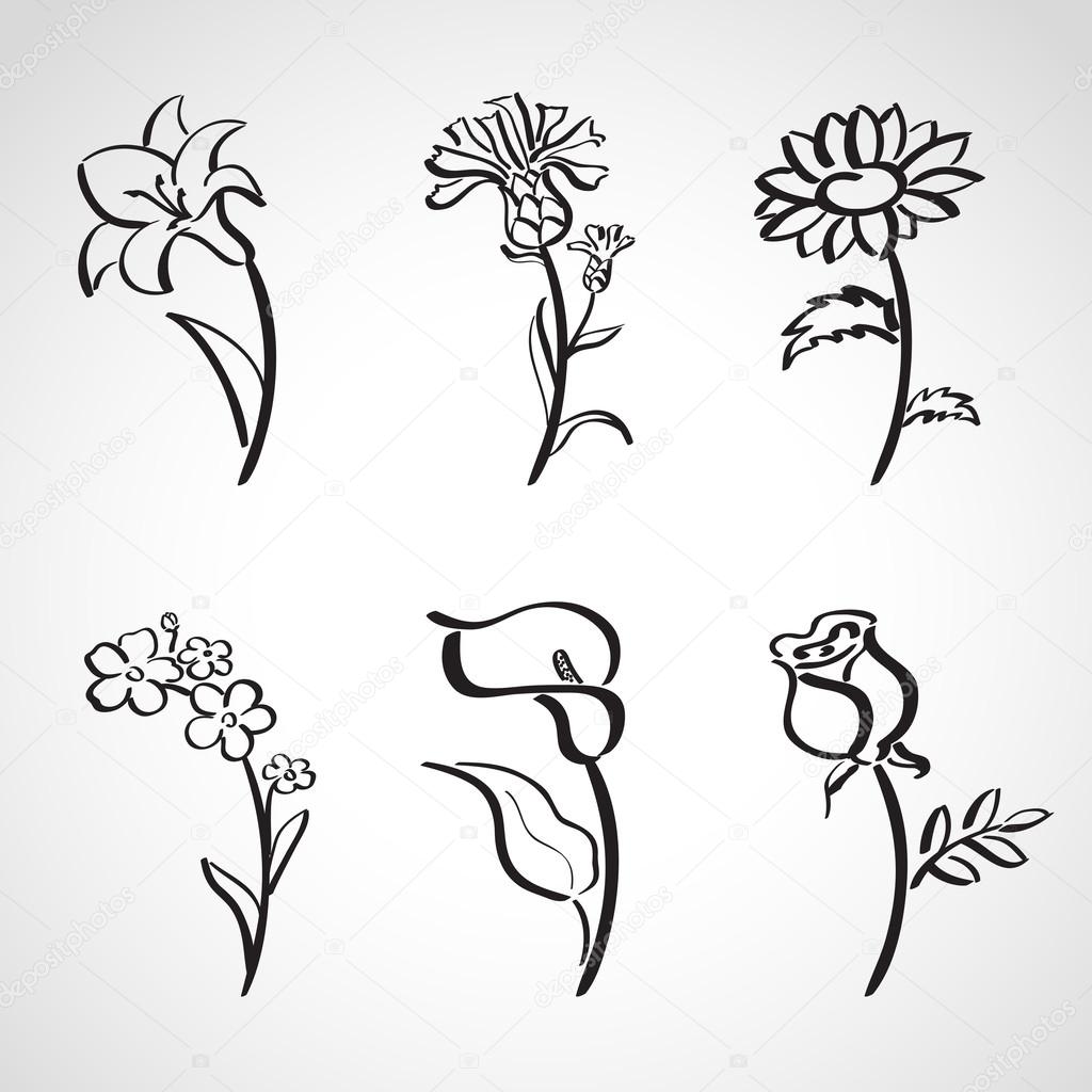 1024x1024 Calla Stock Vectors, Royalty Free Calla Illustrations