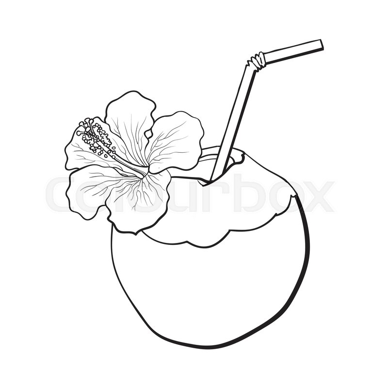 800x800 Coconut Cocktail, Drink Decorated With Hibiscus Flower, Summer