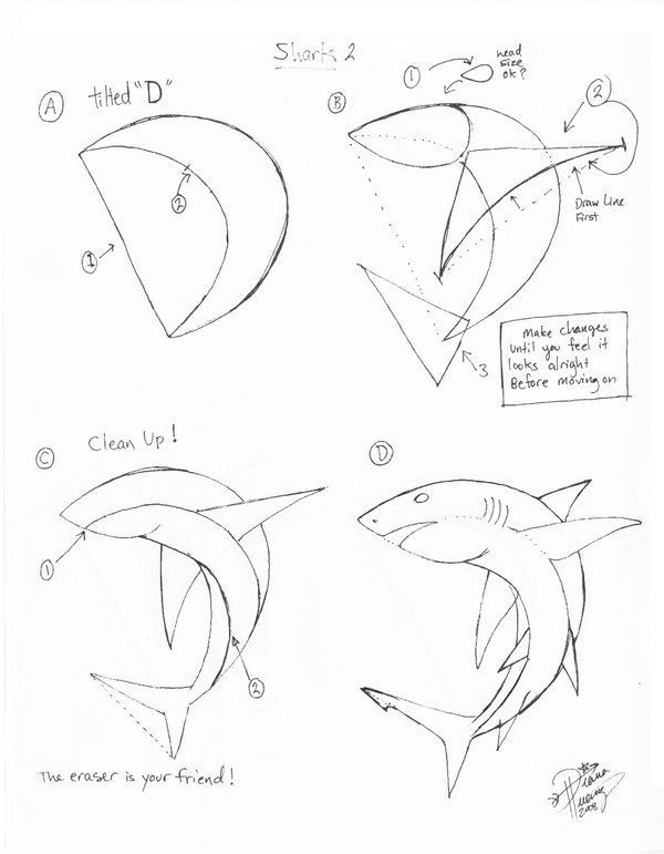 600x771 How To Draw A Shark. Sweet! Drawing Six Shark