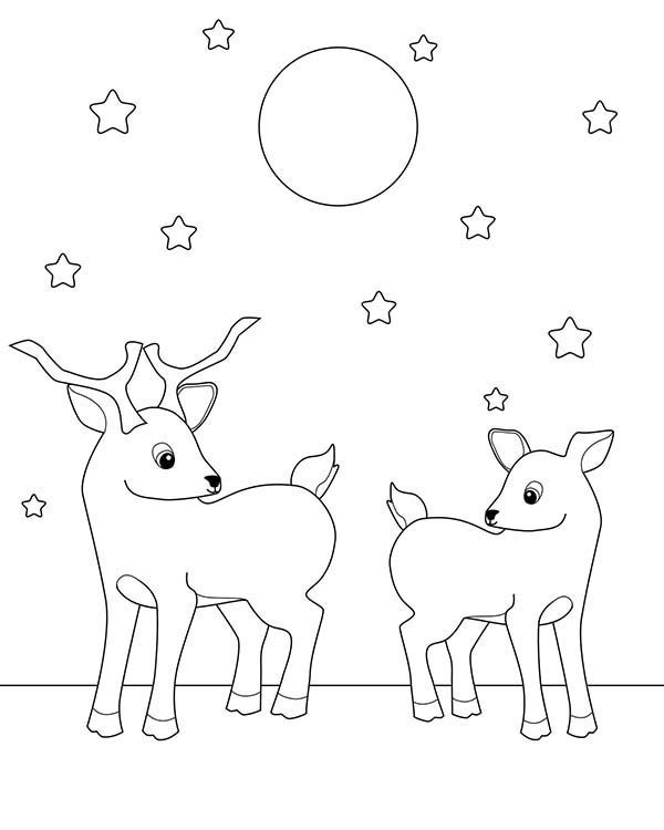 600x750 Two Deer Fawn Under Starry Sky Coloring Page Coloring Sun