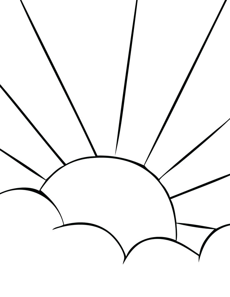 736x952 Sunflower Seeds Coloring Pages Sun 6 Kids Best Coloring Pages
