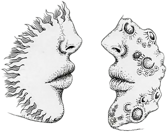 686x542 Kiss Girl Boy Sun Moon Love Blackandwhite Tumblr Cutefr