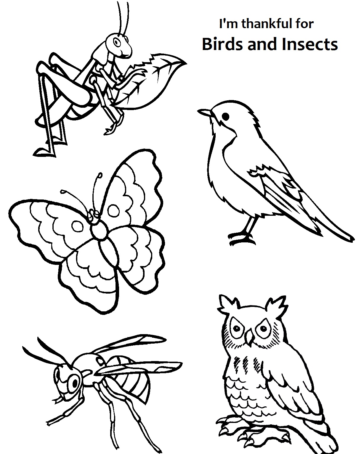 1212x1534 I Am Thankful For Birds And Insects Coloring Page. Lds Primary