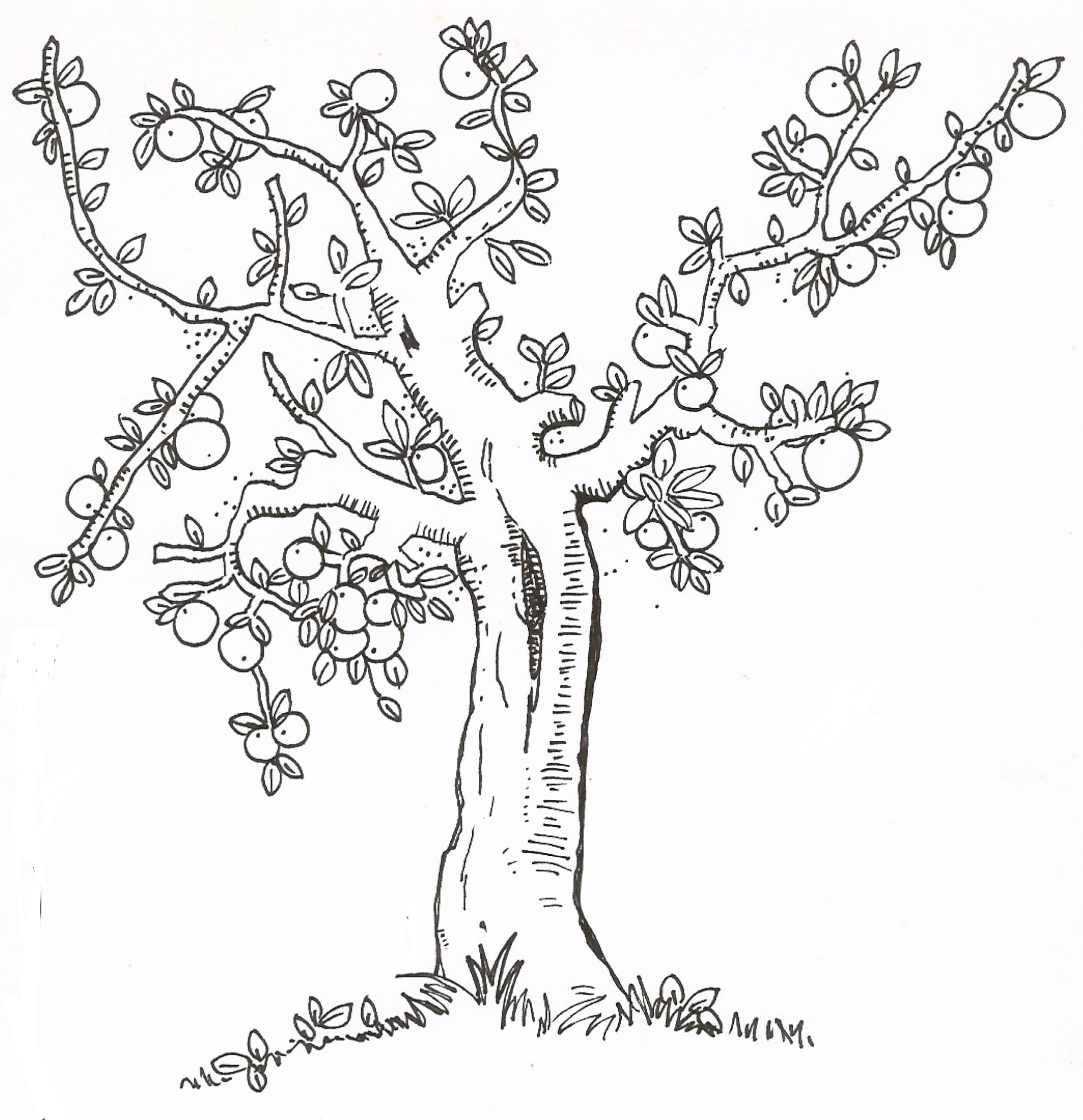 2090x2162 Lesson 10 I Am Thankful For Trees Plants And Flowers. I Got This