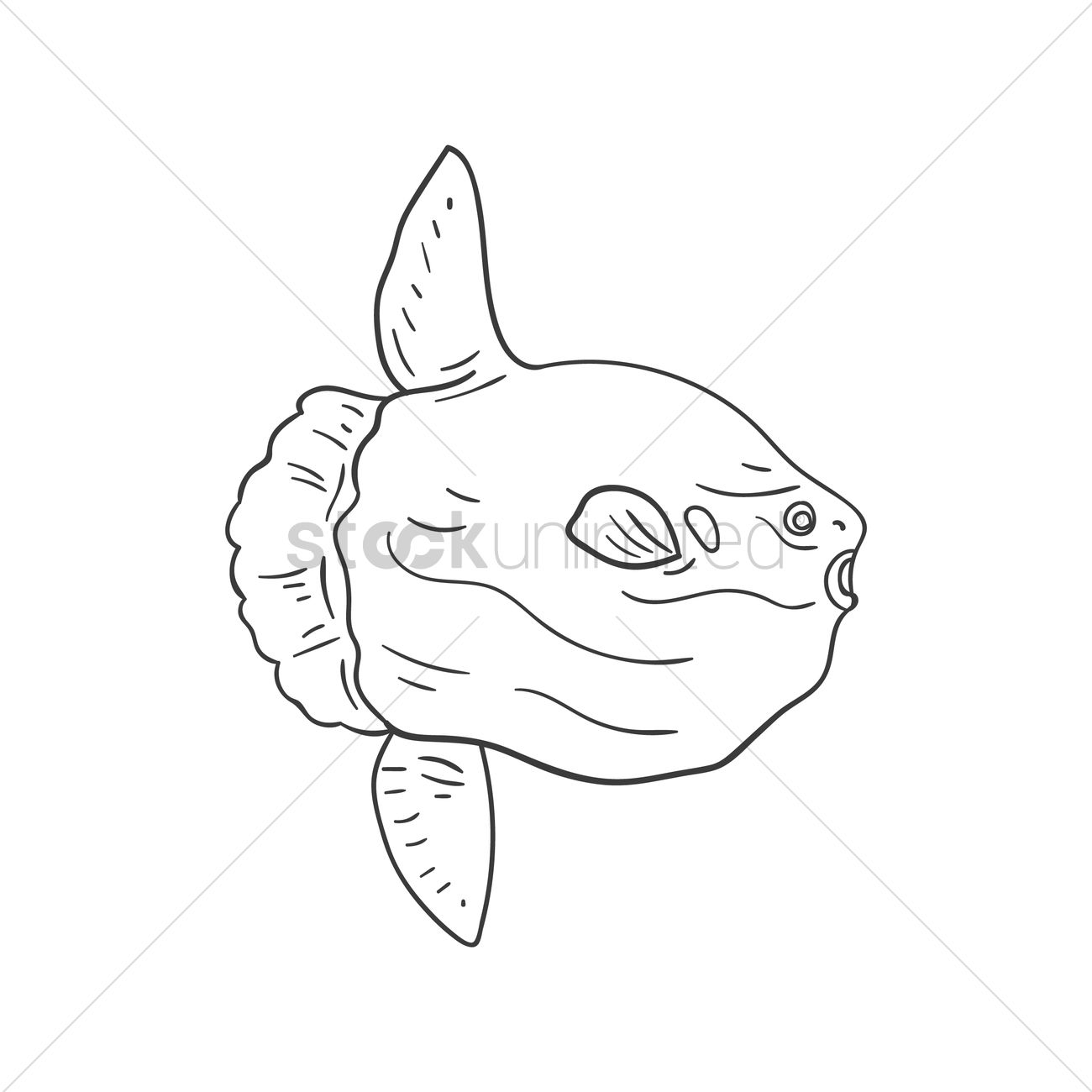 1300x1300 Ocean Sunfish Vector Image