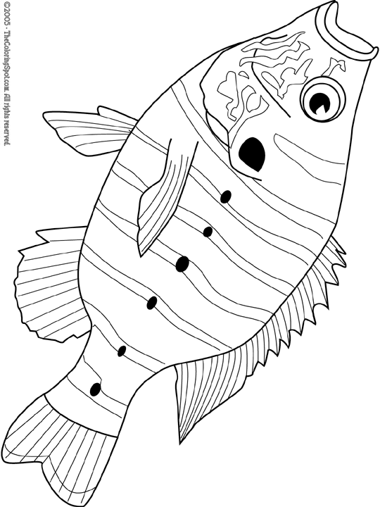 540x720 Sunfish Audio Stories For Kids Amp Free Coloring Pages From Light