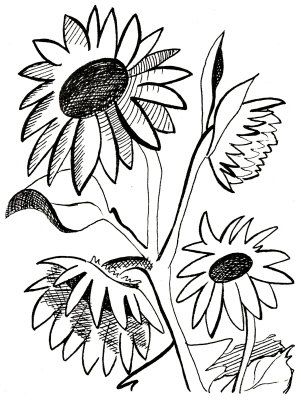 301x400 Coolest Sunflower Clipart Black And White