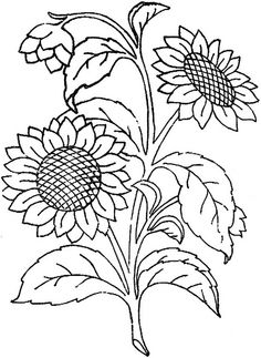 236x323 Drawn Leaf Sunflower