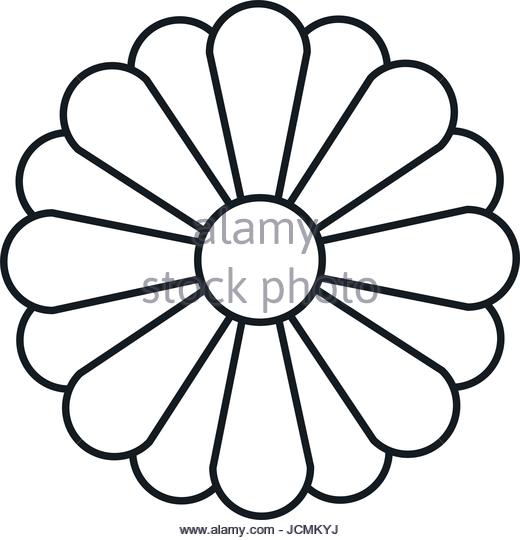 520x540 Sunflower Silhouette Stock Photos Amp Sunflower Silhouette Stock