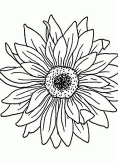 236x328 Pin By Alice Chauhan On Filowars All