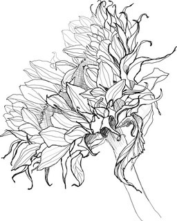 256x320 Pencil Drawing Sunflower Sketch Stock Vector Colourbox