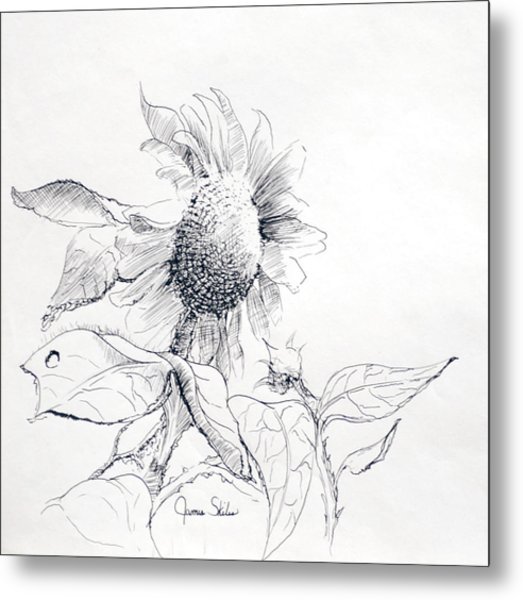 523x600 Whimsical Sunflower Drawing By James Skiles