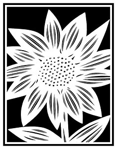 235x300 Black And White Sunflower Drawings