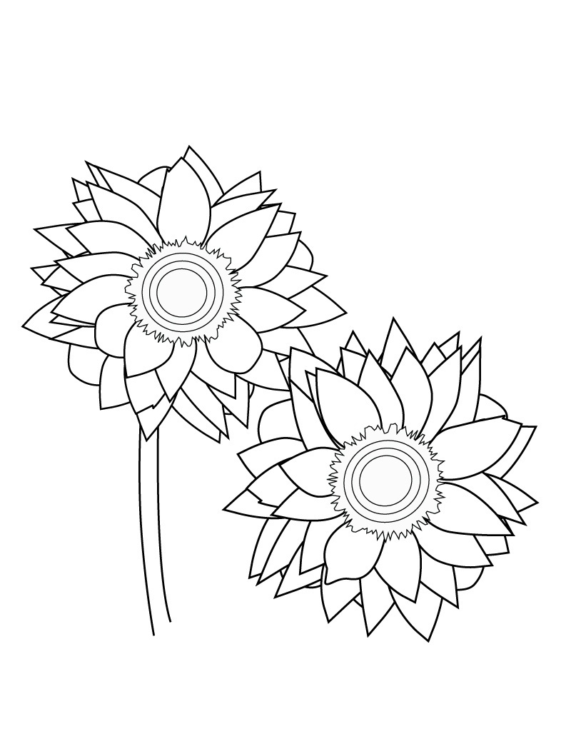 800x1035 Free Printable Sunflower Coloring Pages For Kids
