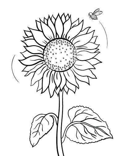 392x507 Perfect Sunny The Sunflower Coloring Page Print Pages Color Bros