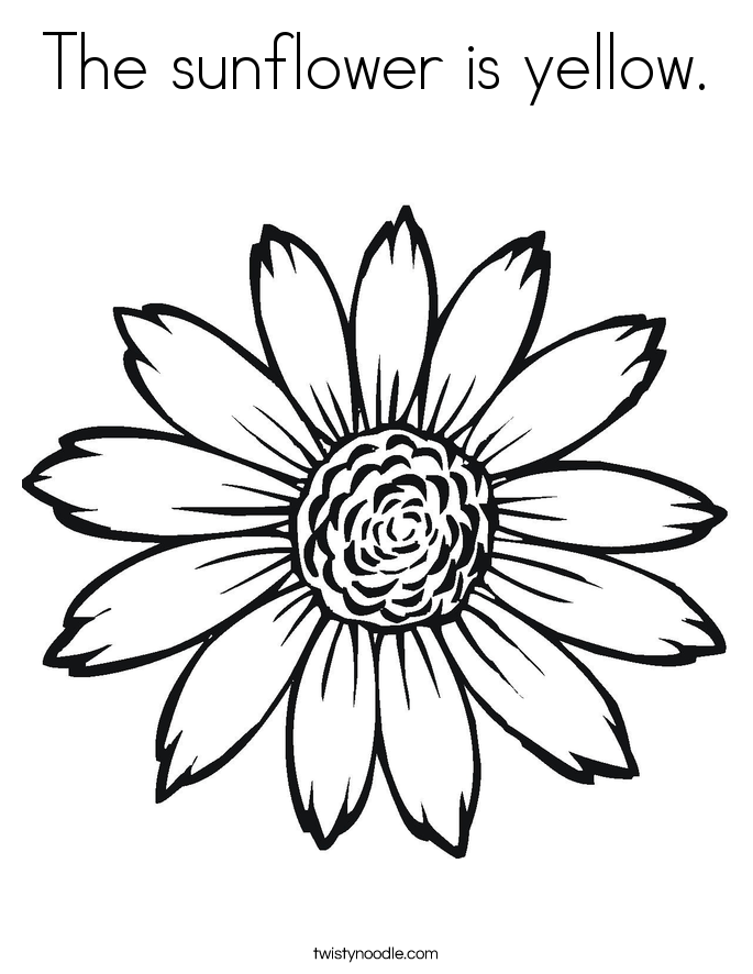 685x886 Sunflower Coloring Pages The Sunflower Is Yellow. Coloring Page