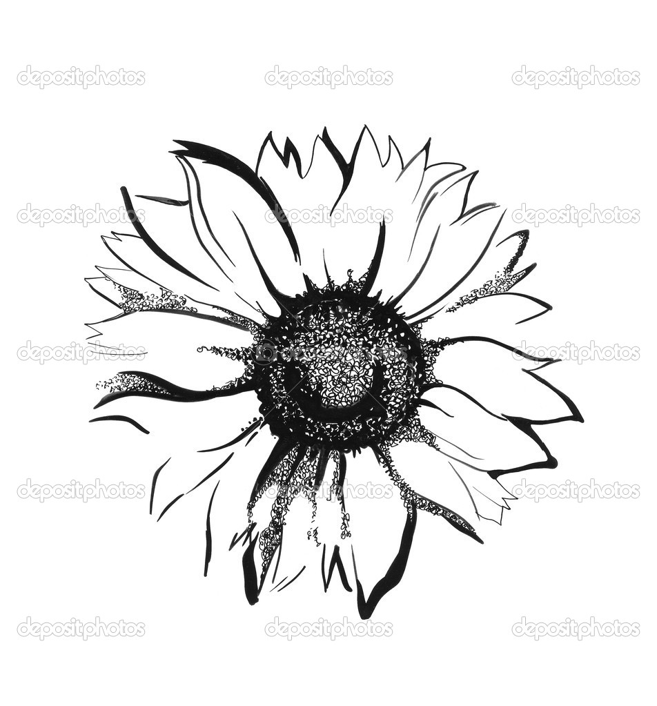 952x1023 Amazing Black And Grey Sunflower Tattoo Design My Hobbies
