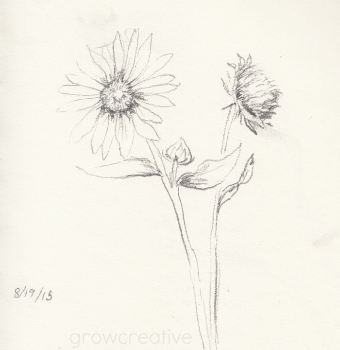 700x720 Grow Creative Blog August 2015