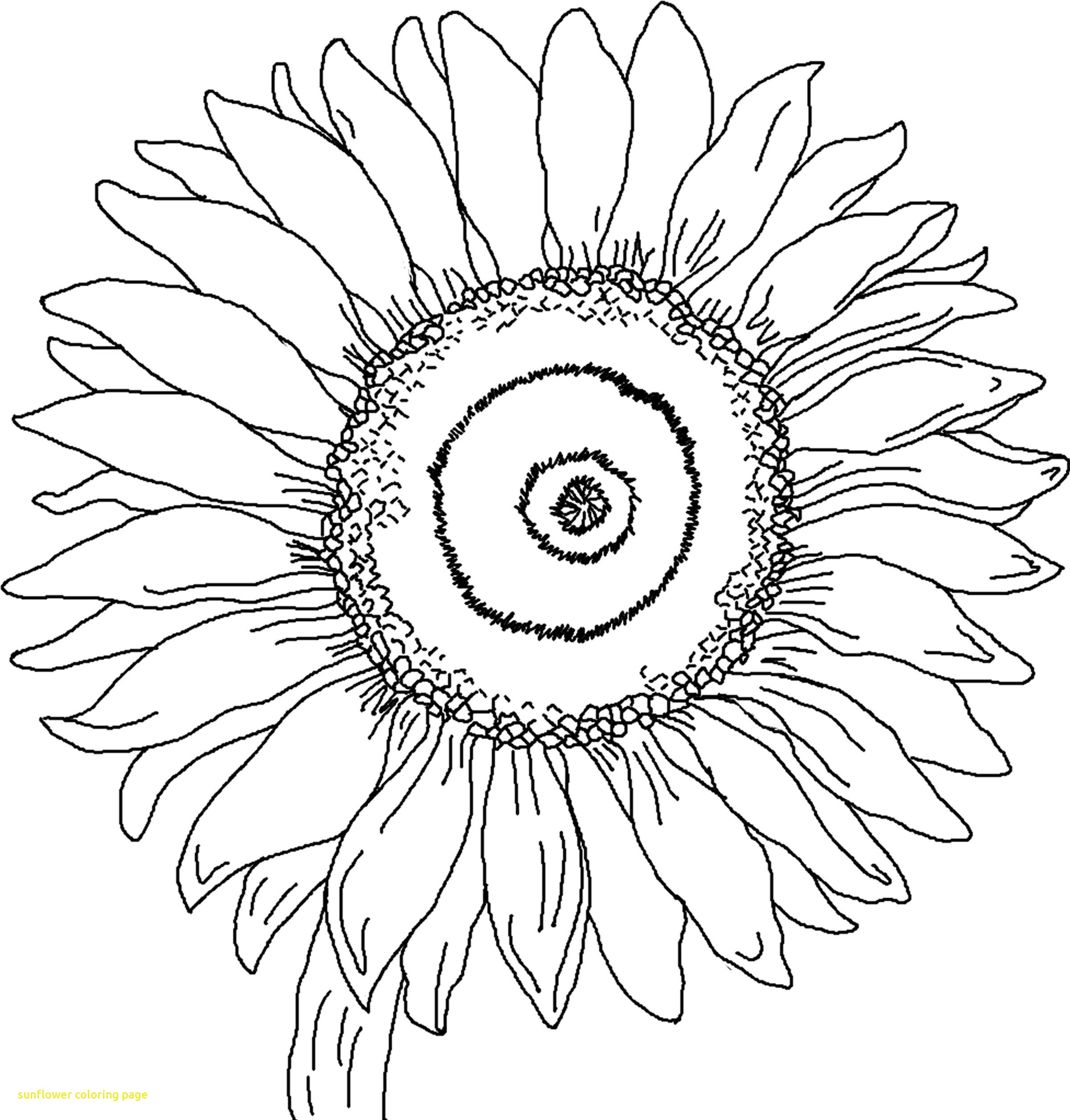 2400x2511 Sunflower Coloring Page With Free Printable Sunflower Coloring