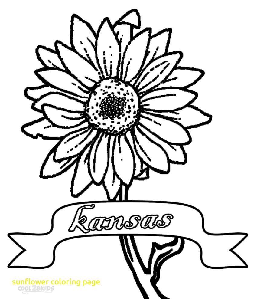 850x988 Sunflower Coloring Page With Printable Sunflower Coloring Pages