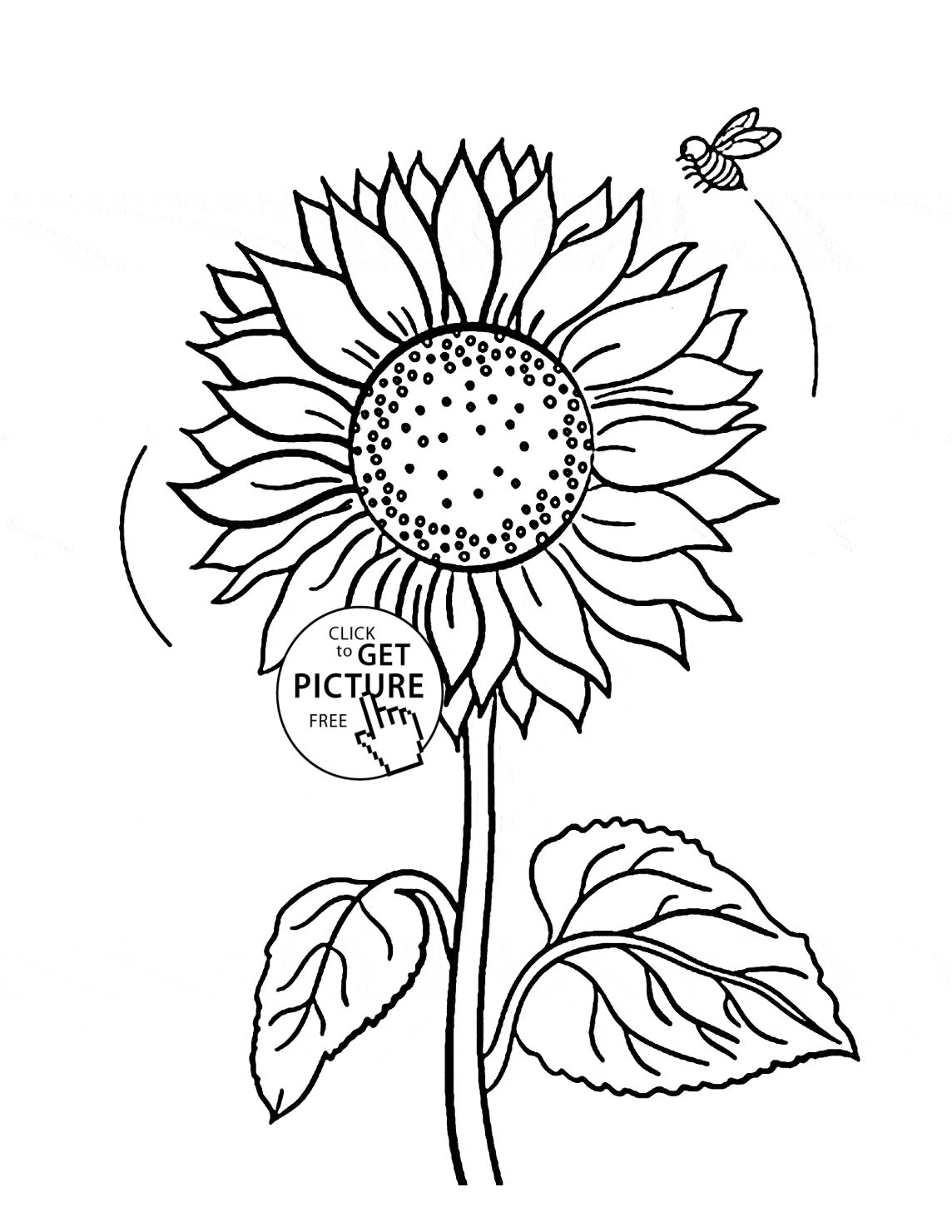 1144x1480 Beautiful Cute Sunflower And Bee Coloring Page For Kids Flower Img