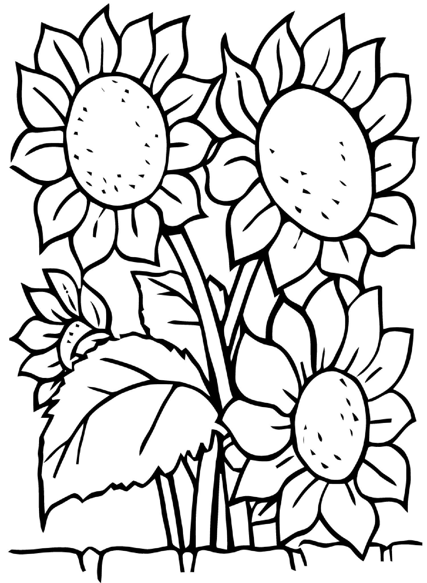 1500x2047 Sunflowers Flowers Coloring Pages For Kids To Print Amp Color