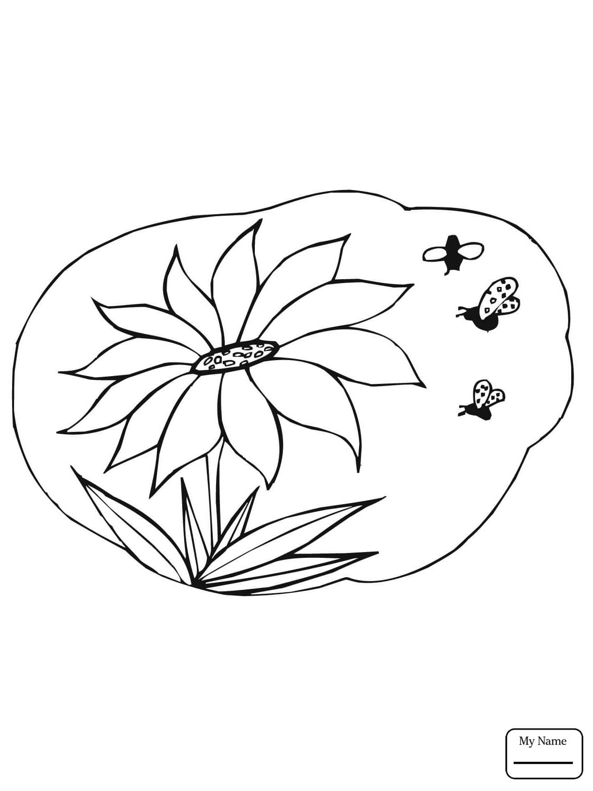 1224x1632 Blue Jay And Sunflowers Flowers Coloring Pages