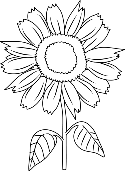 402x550 Pretty Sunflower Coloring Page