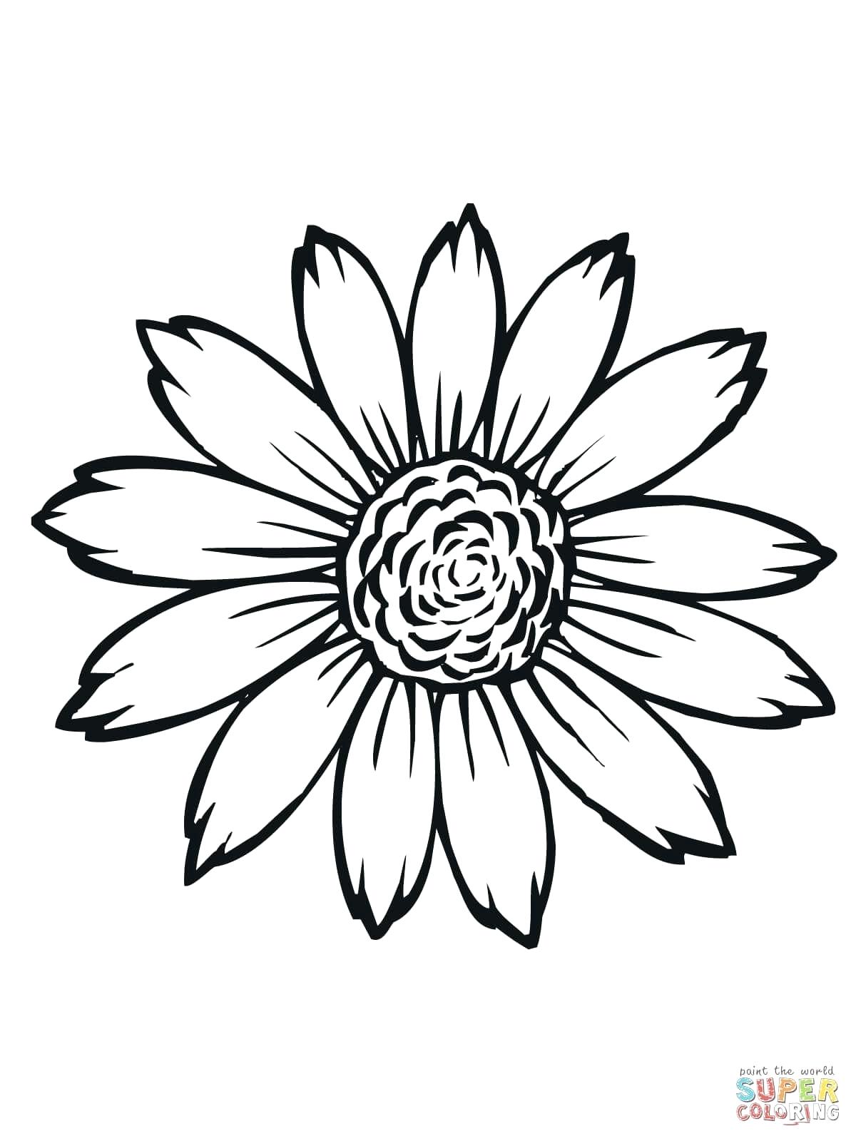 1200x1600 Coloring Coloring Pages Of Sunflowers