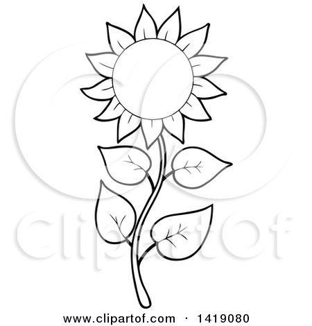 450x470 Clipart Of A Black And White Lineart Sunflower