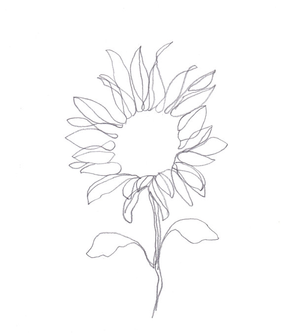570x677 Original Minimalist Drawing 185g Paper Botanical Drawing