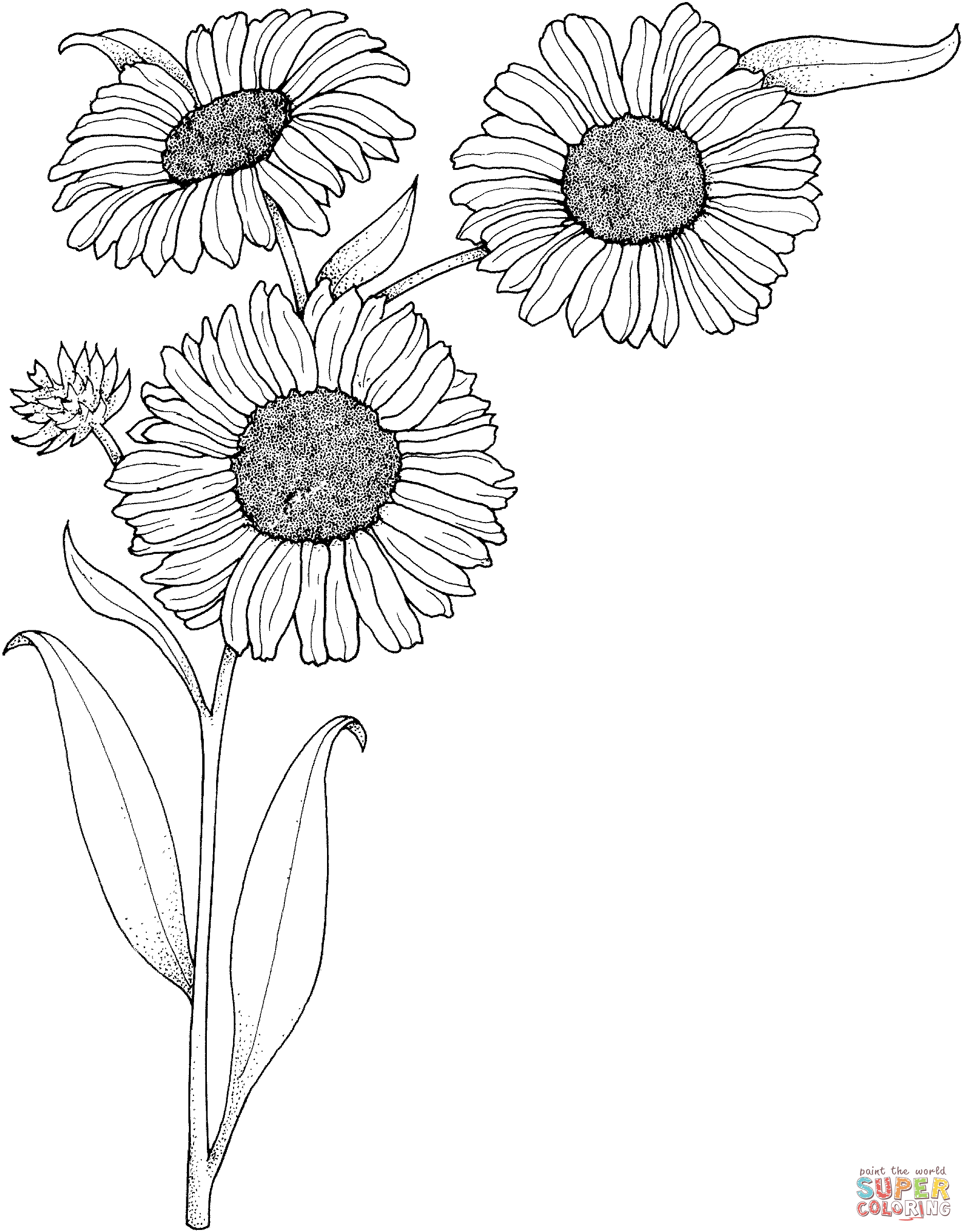1876x2400 Realistic Sunflowers Coloring Page Free Printable Coloring Pages