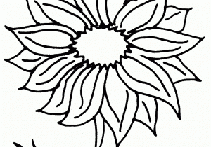 300x210 Sunflower Drawing Pattern Sunflower Drawing Royalty Free Vector