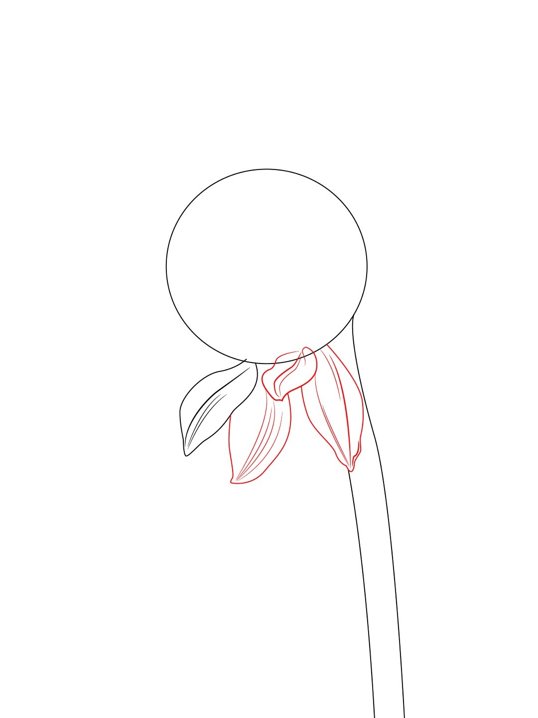 1080x1440 How To Draw A Sunflower