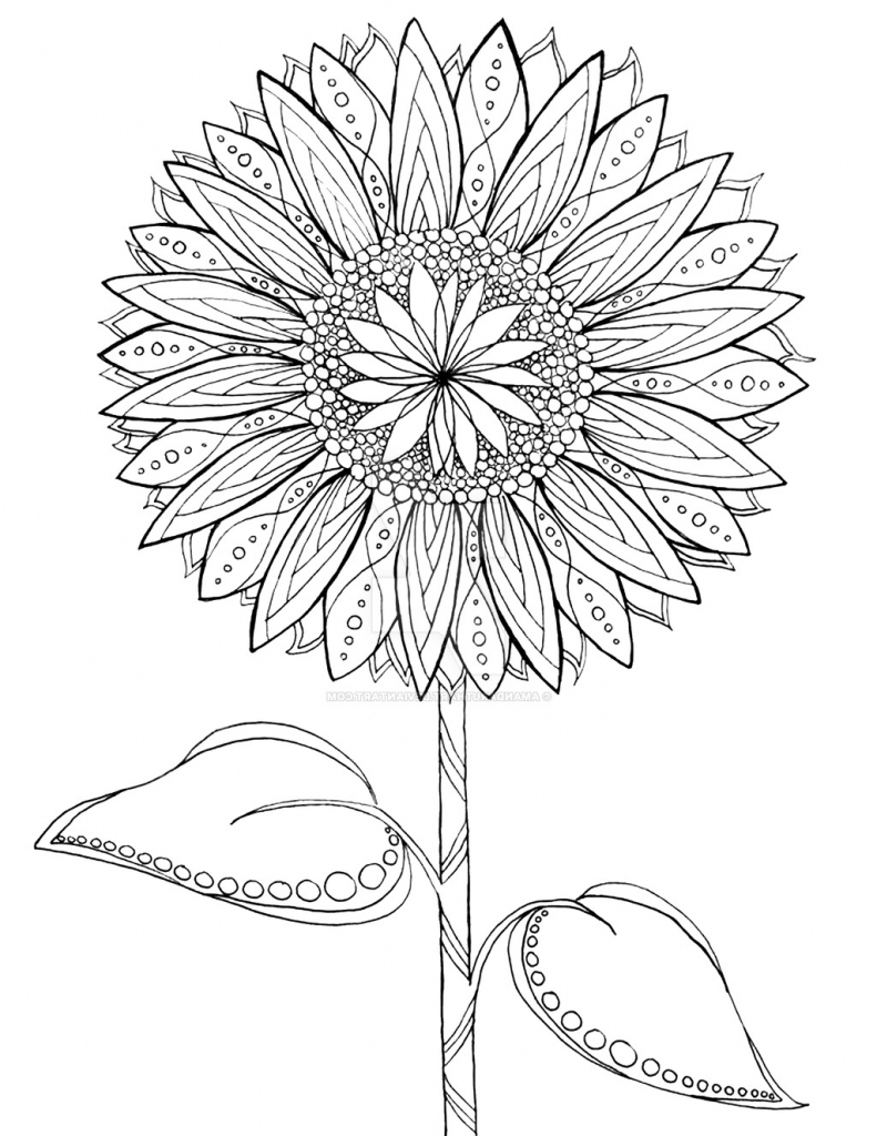 791x1024 How To Draw A Sunflower Draw Central Home Decor Modern Ideas