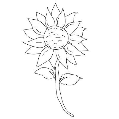 Sunflower Drawing Step By Step at GetDrawings | Free download