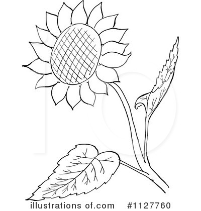 400x420 Sunflower Clipart Black And White