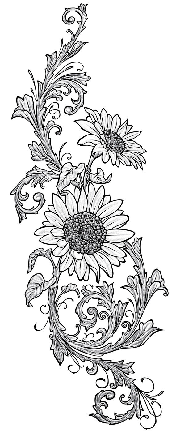 583x1400 Black And White Sunflower Drawing Simple Sunflower Drawing